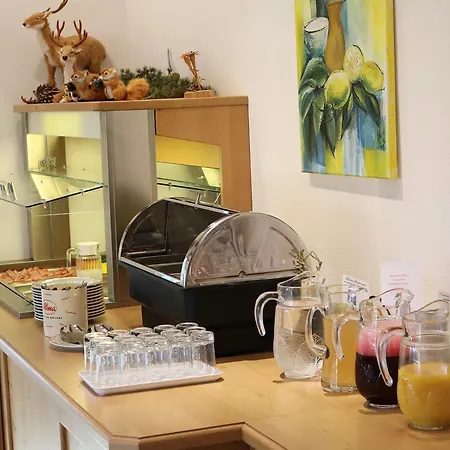 Pensionat Wellness Hollaus